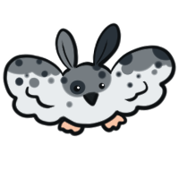 Speckled Pwigi
