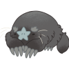 Dusky Star Mole